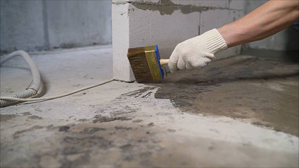SJ Waterproofing Pros Waterproofing coverage map for Berwyn, IL and surrounding area